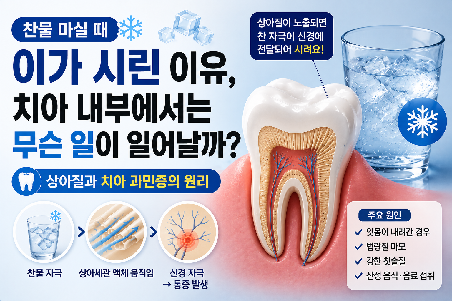 시린이 썸네일